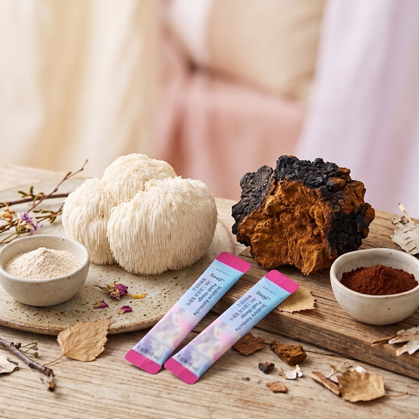Lion's Mane & Chaga